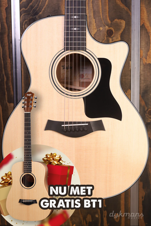 Taylor 314ce V-Klasse