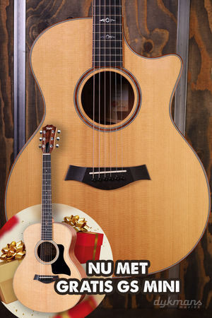 Taylor Custom GA LTD Cocobolo + kostenloser Taylor-Gurt!