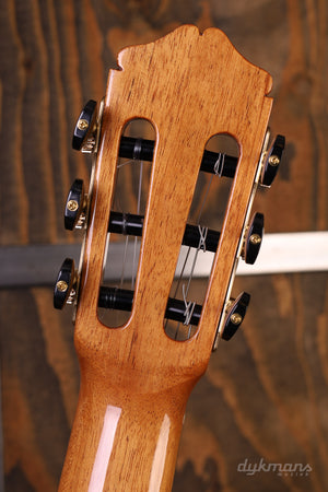 Bautista Iranzo 5 Flamenca Negra