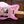 Fender Made in Japan Limited Telecaster Pink Paisley