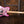 Fender Made in Japan Limited Telecaster Pink Paisley