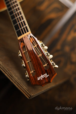 Taylor GC6