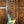 Sandberg California II TM4 Roquefort Masterpiece