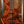 Ibanez MDM1605 Natural Mocha Low Gloss