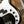 Fender American Ultra II Precision Bass Texas Tea
