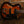 Duesenberg Starplayer CBR Tobacco Burst