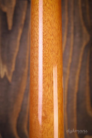 Gibson Explorer Antik Natur