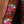 Holy Cow Custom Climbing Flower Pink