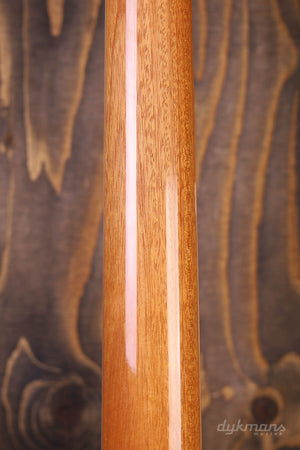 Gibson Explorer Antik Natur