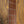 Dingwall Limited Edition Combustion 5-String Vintage White Gloss