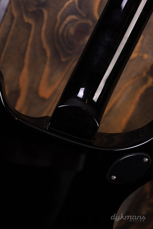 PRS S2 McCarty 594 Gestepptes Schildpatt