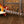 Epiphone 1959 Les Paul Standard Reissue Golden Poppy Burst