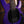 Music Man Darkray Plasma Purple VORBESTELLUNG