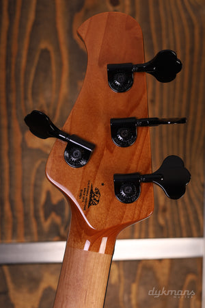 Music Man Darkray Plasma Purple VORBESTELLUNG