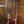 Dingwall Custom Shop Z3X-5 Magenta Crush Reverseburst