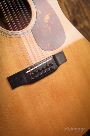 Eastman E1D-12-DLX 12-saitig