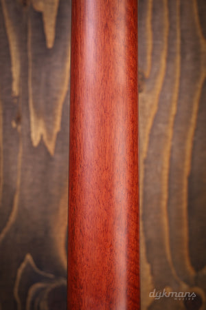 Eastman E1D-12-DLX 12-saitig