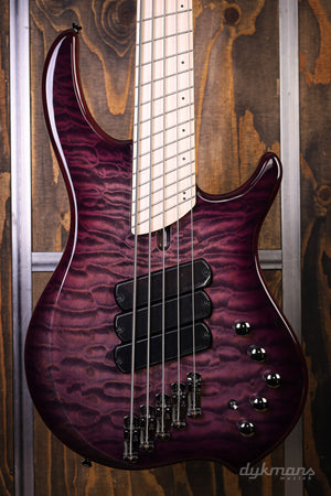 Dingwall Combustion 5-3 Ultra Violet