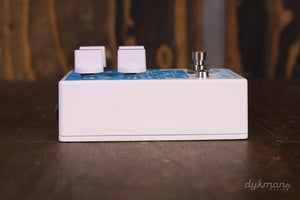 EarthQuaker Devices Dispatch-Master-Verzögerung