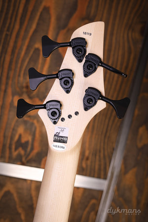 Dingwall NG2 Nolly 5 Schwarzwaldgrün