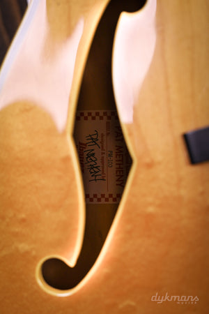 Ibanez PM100 GEBRAUCHT!