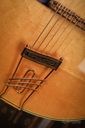 Ibanez PM100 GEBRAUCHT!