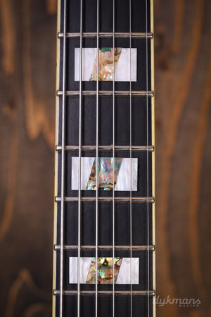 Ibanez PM100 GEBRAUCHT!