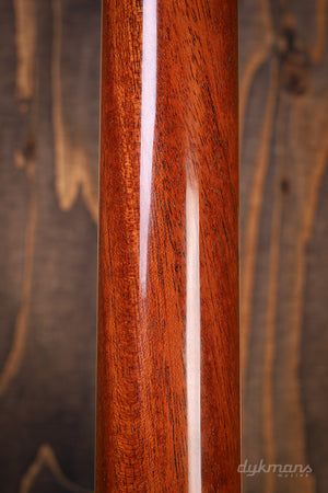 Ibanez PM100 GEBRAUCHT!