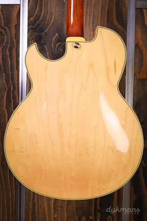 Ibanez PM100 GEBRAUCHT!