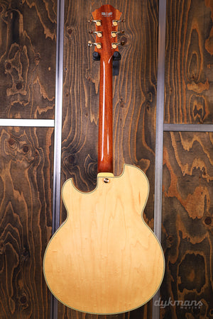 Ibanez PM100 GEBRAUCHT!