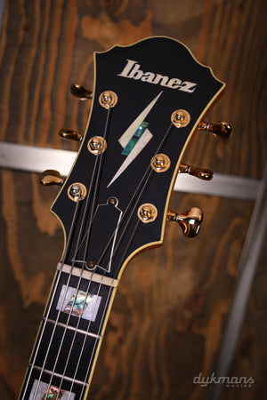 Ibanez PM100 GEBRAUCHT!