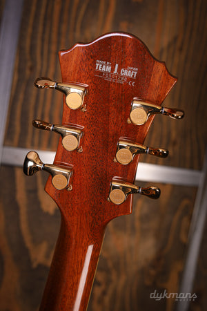 Ibanez PM100 GEBRAUCHT!