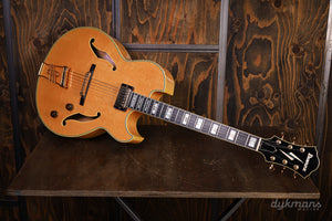 Ibanez PM100 GEBRAUCHT!