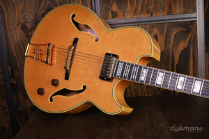 Ibanez PM100 GEBRAUCHT!