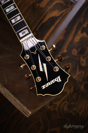 Ibanez PM100 GEBRAUCHT!