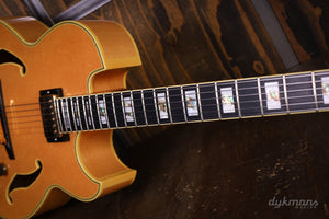 Ibanez PM100 GEBRAUCHT!