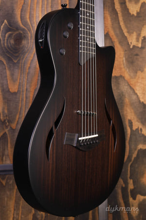 Taylor T5z Classic Palisander
