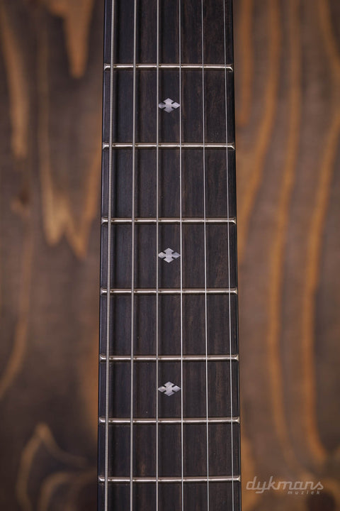 Taylor T5z Classic Palisander