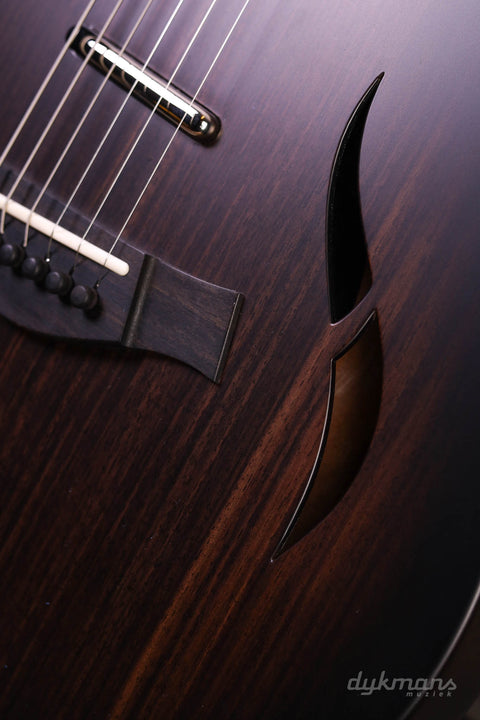 Taylor T5z Classic Palisander