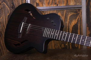 Taylor T5z Classic Palisander