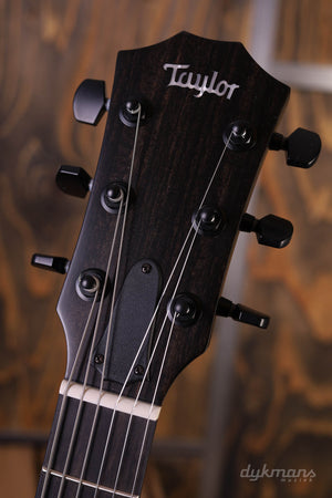 Taylor T5z Classic Palisander