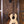 Eastman Tenor-Ukulele EU2-T