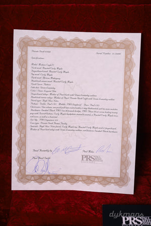 PRS Private Stock Modern Eagle V Green Luminlay LTD Laguna Glow GEBRAUCHT!