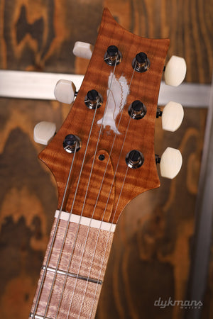 PRS Private Stock Modern Eagle V Green Luminlay LTD Laguna Glow GEBRAUCHT!