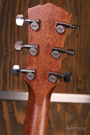 Taylor Gold Label 814e Palisander Natur