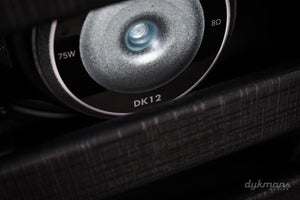 Supro 1822RBB Delta King 12 Combo