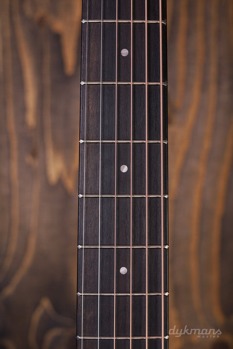 Taylor 114ce-S Lefty