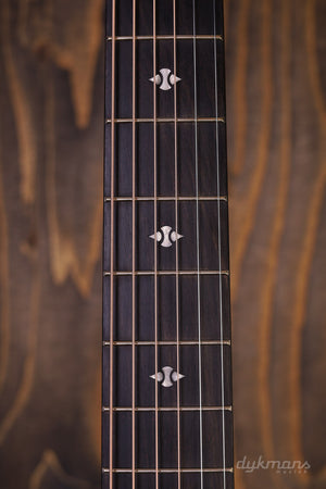 Taylor Builder's Edition 324ce GEBRAUCHT