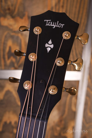 Taylor Builder's Edition 324ce GEBRAUCHT