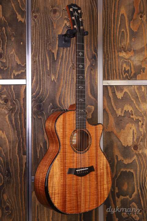 Taylor 50th Anniversary 924ce Koa + Ca. 74 Verstärkerset